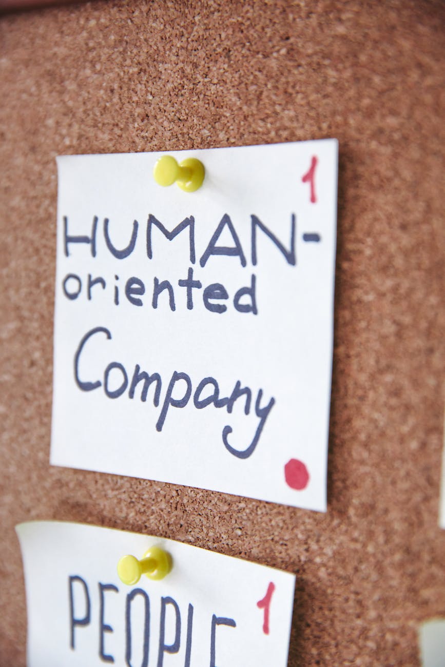 Agile Adaptation in the Third Sector